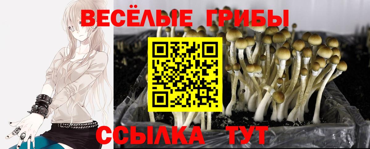 Галлюциногенные грибы Magic Shrooms Оренбург